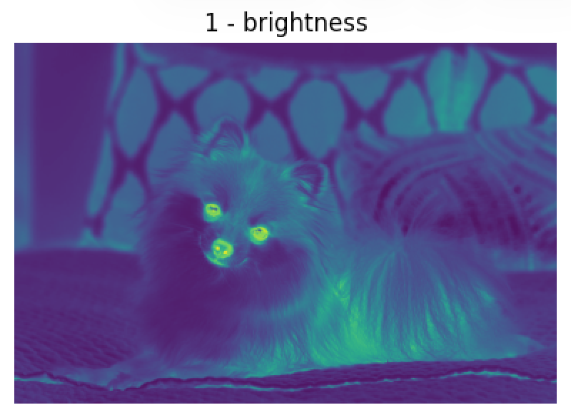 The 1 − brightness (darkness) field