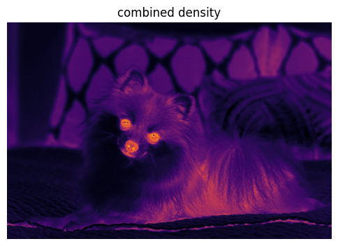 Combined significance density field for the dog image